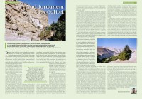 Królowa Różańca Świętego - numer 64