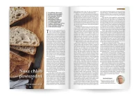 Królowa Różańca Świętego - numer 80 wersja PDF